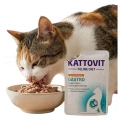 Kattovit Gastro Karma dla Kotów z Indykiem i Ryżem Wspomaga Układ Pokarmowy 85g