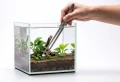 Tetra Plantastart 12 tabletek Na Wzrost Roślin w Akwarium