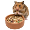 Versele Laga Crispy Muesli Hamster Karma Mieszanka Dla Chomika 750G