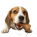 Ciastka Przysmaki Dla Psa Animal Lovers Happy Happer Mix 1kg