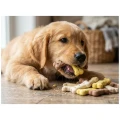 Ciastka dla Psa Szczeniaka Smakołyk Puppy Treats 1kg