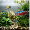 TROPICAL BIO-VIT 5000ml 5l - Pokarm ROŚLINNY Dla Ryb Akwariowych