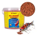 Tropical KOI&GOLDFISH COLOUR STICKS 21l/1,6kg - pokarm dla ryb hodowanych w oczku wodnym