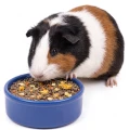 Cunipic Premium Guinea Pig Karma Pokarm dla Świnek Morskich Kawii 2,5kg