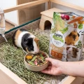 Cunipic Premium Guinea Pig Karma Pokarm dla Świnek Morskich Kawii 2,5kg.png