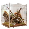 Terrarium Akrylowe DIVERSA 20x20x20 cm Dla Modliszki Ptasznika