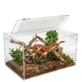 Terrarium Akrylowe DIVERSA 40x25x20 cm Dla Pająka Modliszki