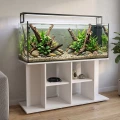 Szafka pod Akwarium Proste Budget 120x40x60cm Szampański