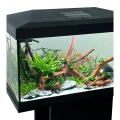 Kompletny Zestaw Akwariowy AQUOS AQUA PLAY 60 CZARNY 54L + Filtr Grzałka Oświetlenie LED do Domu i Biura