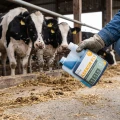 ASEKOR FLY Preparat na Owady Latające i Biegające dla BYDŁA Niebieski 600 ml