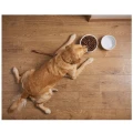 AMBROSIA Hipoalergiczna Karma Dla Psa Indyk Kaczka 2kg