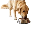 AMBROSIA GF Dog Wołowina ze Świeżym Łososiem 2kg – lśniąca Sierść