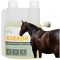 ASEKOR FLY Preparat na Owady Latające i Biegające dla KONI Bezbarwny 600 ml