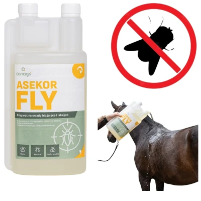 ASEKOR FLY Preparat na Owady Latające i Biegające dla KONI Bezbarwny 1000 ml