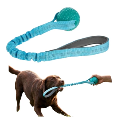 Kerbl Bungee Zabawka dla Psa Piłka na Taśmie z Amortyzatorem Niebieska 9cm