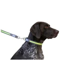 Kerbl Pet Light &amp; Reflex Solidna Smycz Podświetlana LED dla Psa 120cm 25mm
