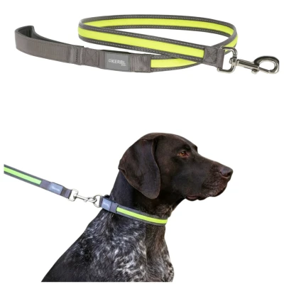 Kerbl Pet Light &amp; Reflex Solidna Smycz Podświetlana LED dla Psa 120cm 25mm