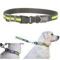 Kerbl Pet Light &amp; Reflex Solidna Obroża Podświetlana LED dla Psa 35-50cm 20mm