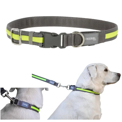Kerbl Pet Light &amp; Reflex Solidna Obroża Podświetlana LED dla Psa 45-65cm 25mm