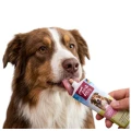 Tubidog Przysmak dla Psa w Tubce Pasta Nagroda Trenigowa Kiełbasa z Wątróbki 75g