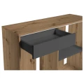 Szafka pod Akwarium Proste Elitte 120x50x90 Dąb Artisan-Grafit