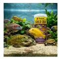 TROPICAL CICHILD GRAN 100ml - Pokarm Dla Pielęgnic