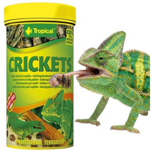 TROPICAL CRICKETS 250ML/25G ŚWIERSZCZE 11194