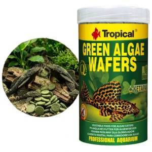 TROPICAL GREEN ALGAE WAFERS 250ML/113G 66424