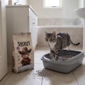 Sheriff Żwirek Bentonitowy Dla Kota Compact SUPER Zbrylający Lawendowy 20l