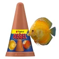 Tropical KEGEL Stożek Lęgowy Tarliskowy dla Dyskowców (i