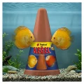 Tropical KEGEL Stożek Lęgowy Tarliskowy dla Dyskowców (i