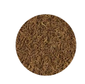 TROPICAL RED MICO 100ml - Liofilizowane Larwy Ochotki Dla Ryb
