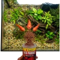 TROPICAL RED PARROT GRANULAT 1000ml Pokarm Dla Pielęgnic Papuzich