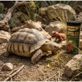 Tropical Reptiles Herbivore Pokarm Dla Roślinożernych i Wszystkożernych Gadów 250ml/65ge48be3a4-aeed-4b42-886b-34c41d4d2eed (1).png