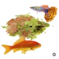 Uzupełnienie TROPICAL MALAWI Pokarm Płatki dla Pielęgnic Woreczek 200g