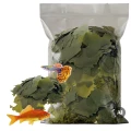 Uzupełnienie Tropical Super Spirulina Forte Pokarm w Płatkach dla Ryb Woreczek 200g