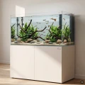 Szafka pod Akwarium Proste Aquatic 80x35x90cm Szampański