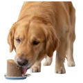 Zrzut ekranu 2026-09-28 133400 (3).png