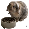 Karma Dla Królika Tropifit All in 1 Rabbit Adult 5kg Pokarm Królik Duży