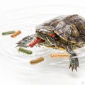 TROPICAL BIREPT W ADULT 500ML/150G 12365 Pokarm dla Żółwi Wodnych i Wodno-Lądowych