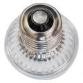 JENECA Żarówka Halogenowa UVA+UVB 25W TERRARIUM