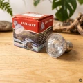 JENECA Żarówka Halogenowa UVA+UVB 25W TERRARIUM