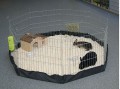 Nylonowa mata podłoga do kojca dla psa królika 8el