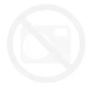 Wkładka Spowalniająca Jedzenie Record SLOWI S /M Fioletowa Do Miski Mocna 72zn.