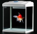 Akwarium HR-300 14L z filtrem i Lampą LED Białe
