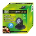 Aqua Nova Lampa Oświetlenie LED do Oczka Wodnego 2,2W z Czujnikiem Zmierzchu