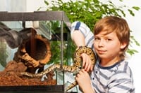 terrarium